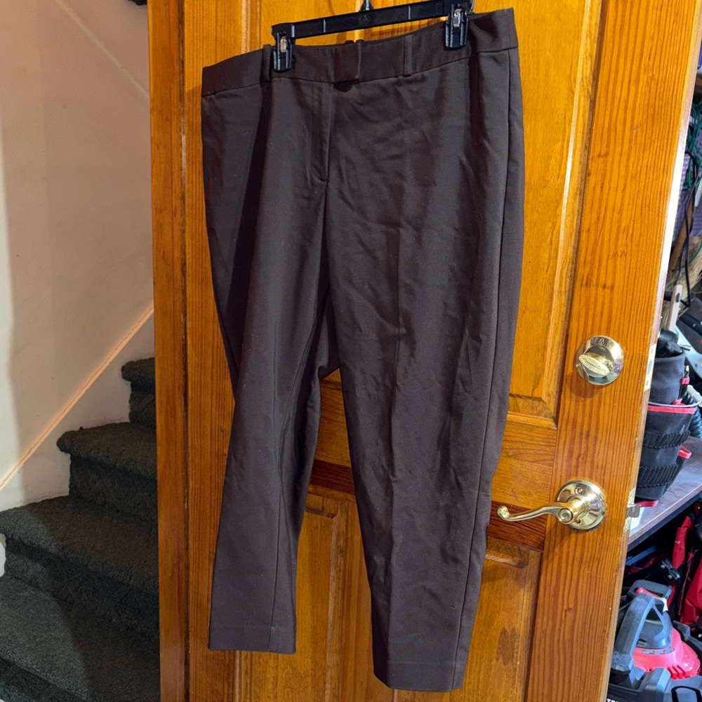Liz Claiborne Women's Chocolate Brown Trousers